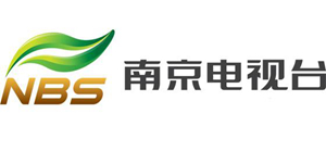 南京电视台logo.jpg